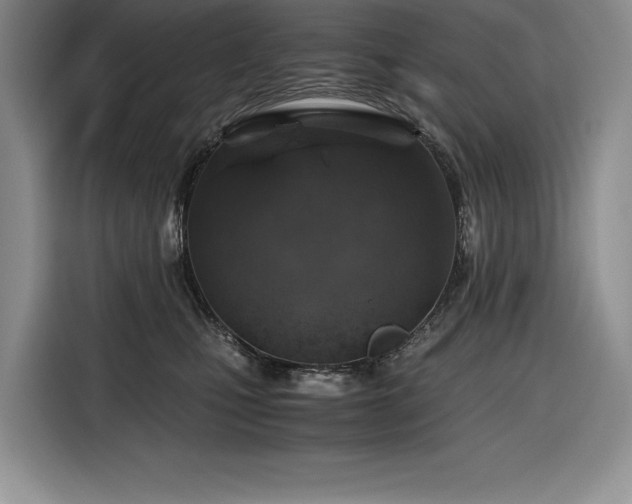 X0000116860471200912221142