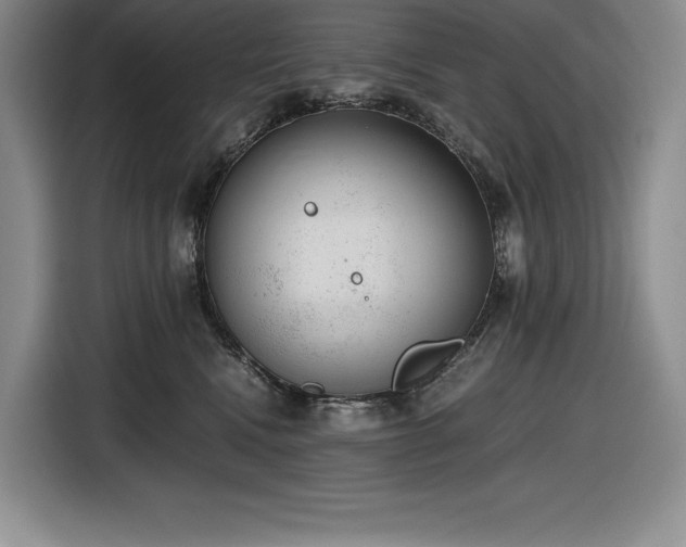 X0000116860472200912221142