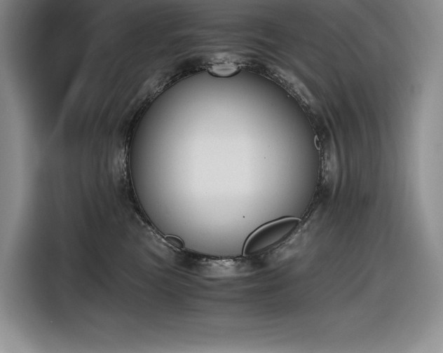 X0000116860473200912221142
