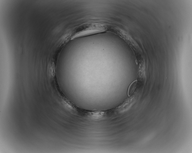 X0000116860474200912221142