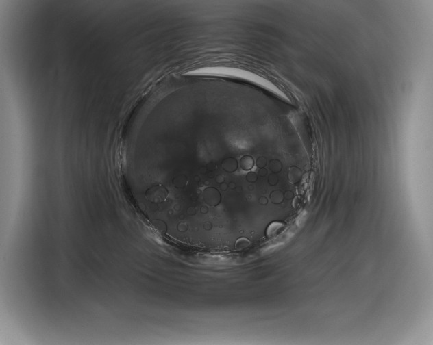 X0000116860475200912221142