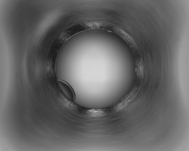 X0000116860477200912221142