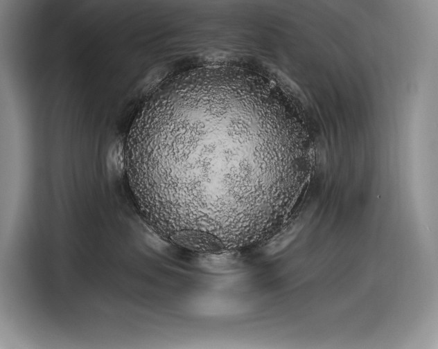 X0000116860479200912221142