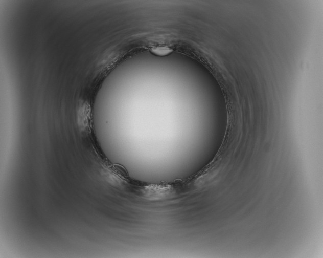 X0000116860480200912221142