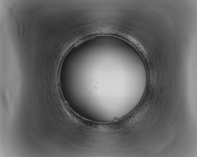 X0000116860481200912221141