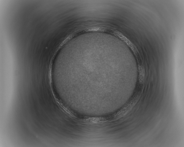 X0000116860482200912221141