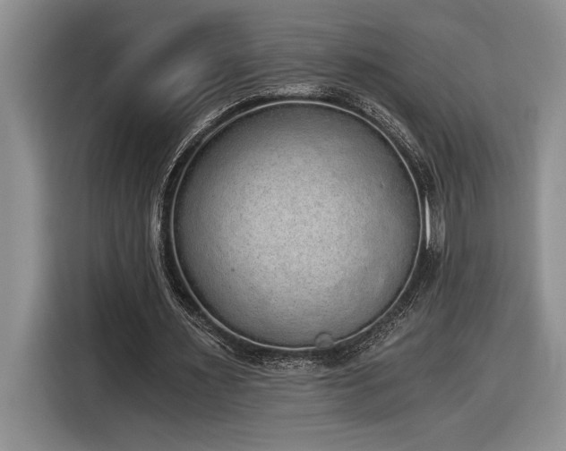 X0000116860483200912221141