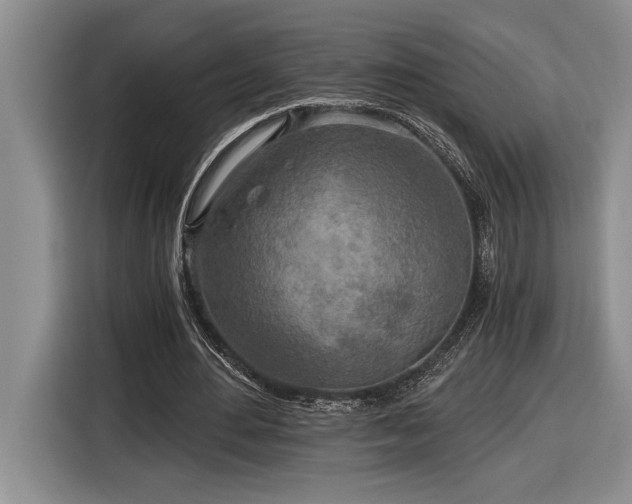 X0000116860484200912221141