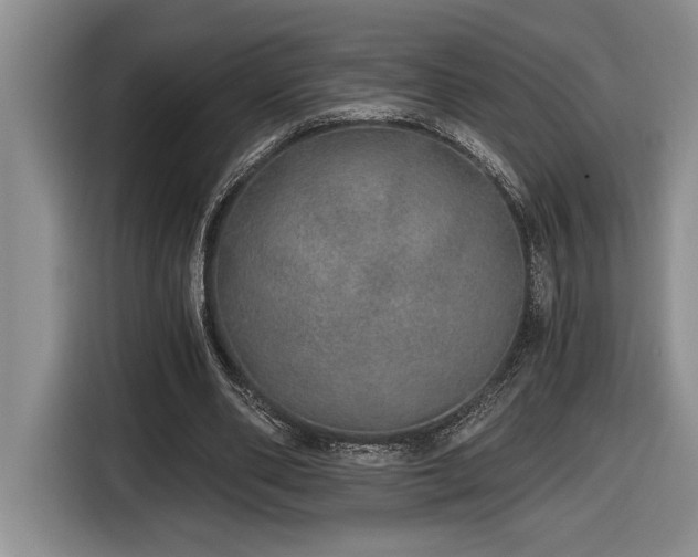 X0000116860486200912221141