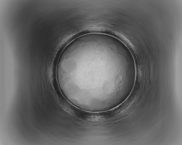 X0000116860487200912221141