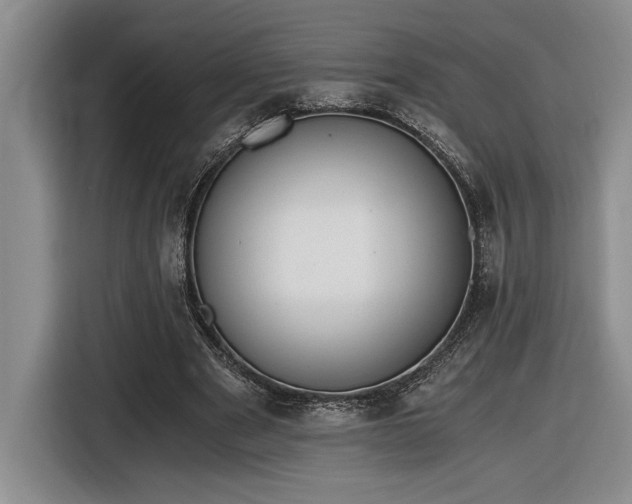 X0000116860489200912221141