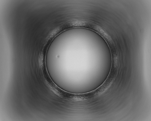 X0000116860490200912221141