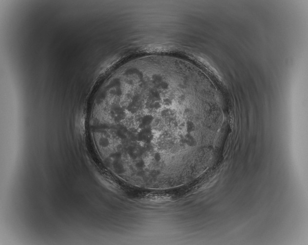 X0000116860491200912221141