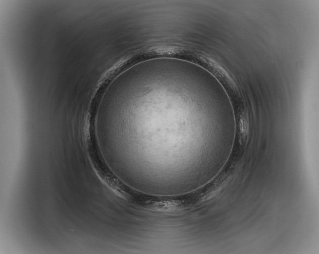 X0000116860492200912221141