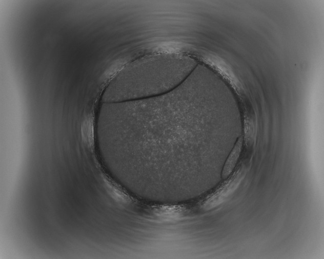 X0000116860493200912221141