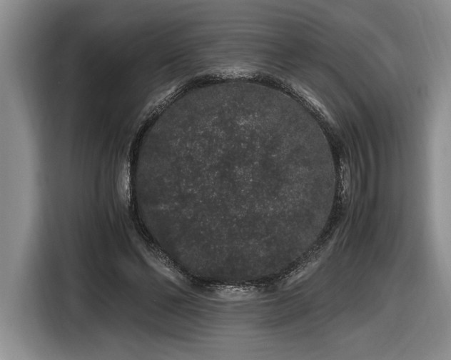 X0000116860494200912221141