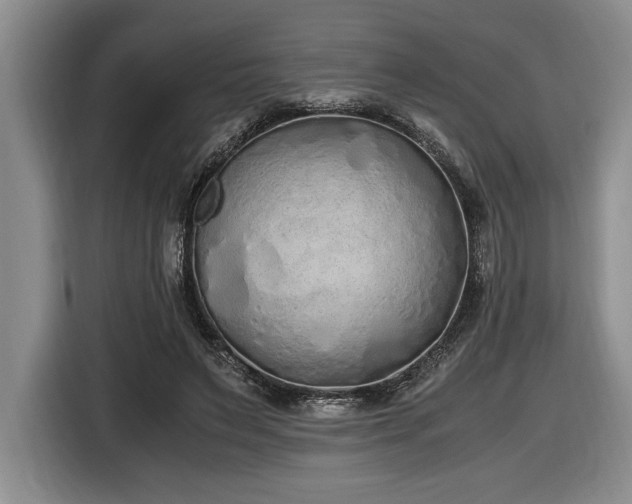 X0000116860495200912221141