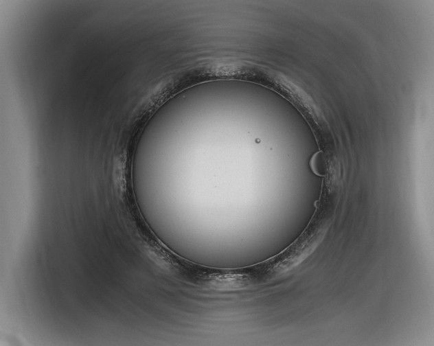 X0000116860497200912221141