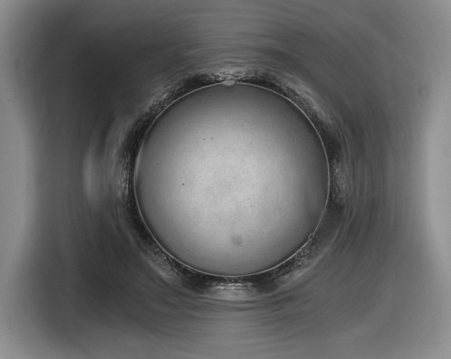 X0000116860499200912221141