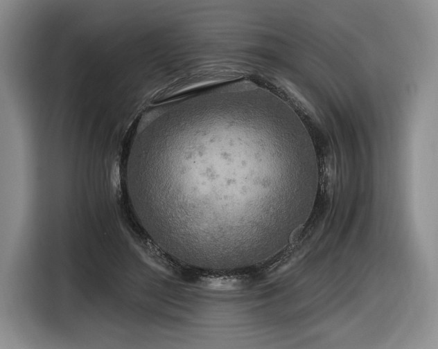 X0000116860500200912221141