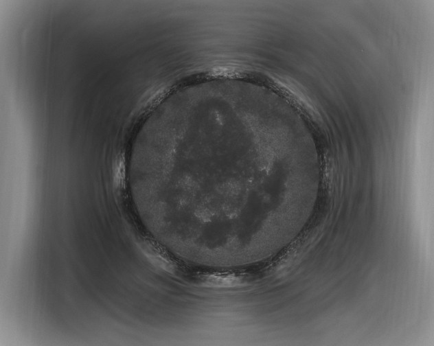 X0000116860502200912221141