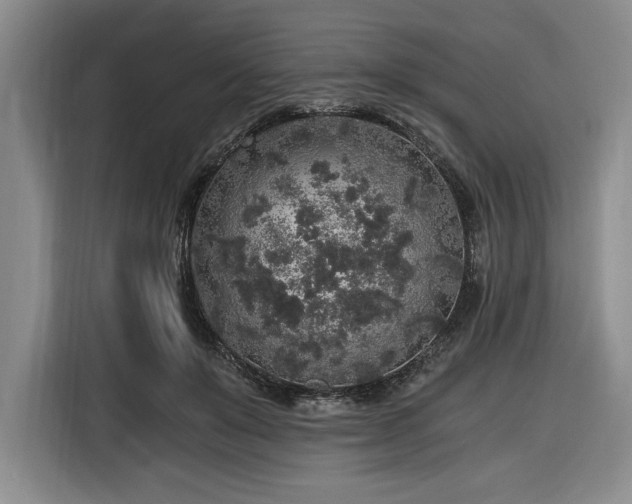 X0000116860503200912221141