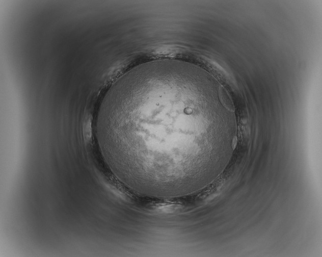 X0000116860504200912221141