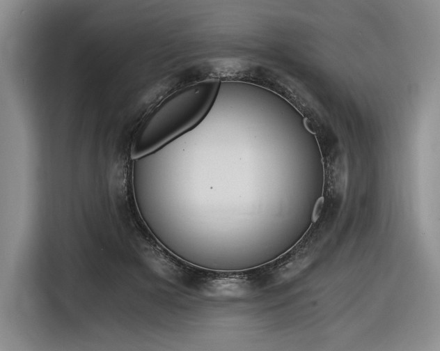 X0000116860505200912221141