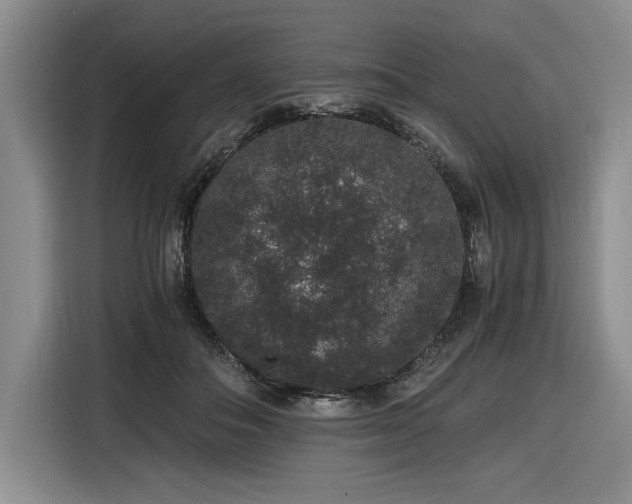 X0000116860506200912221141