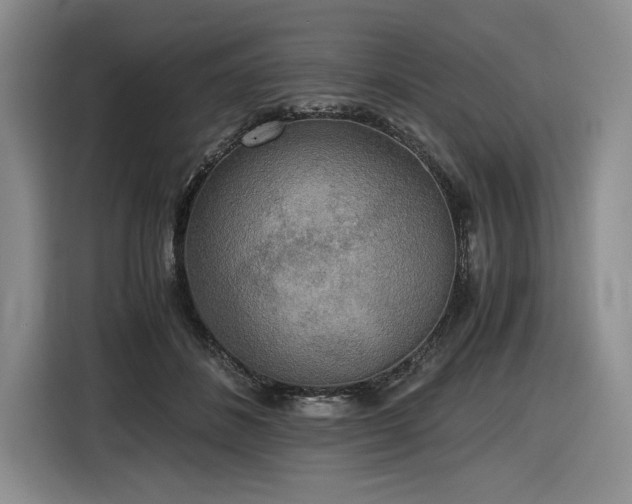 X0000116860508200912221141
