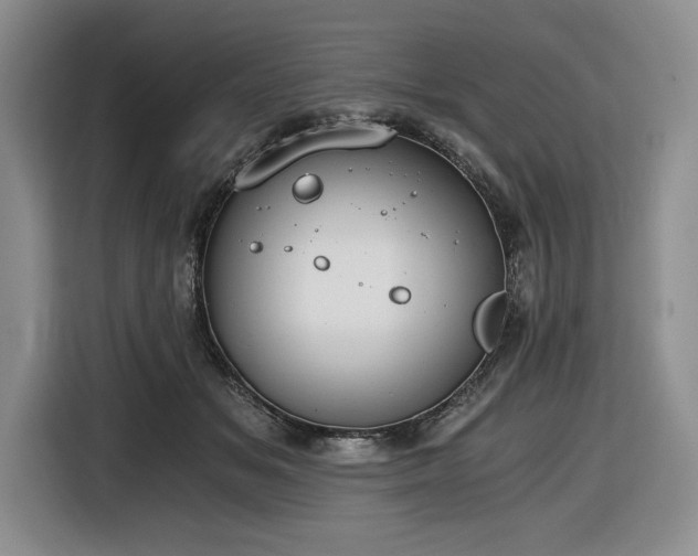 X0000116860509200912221141