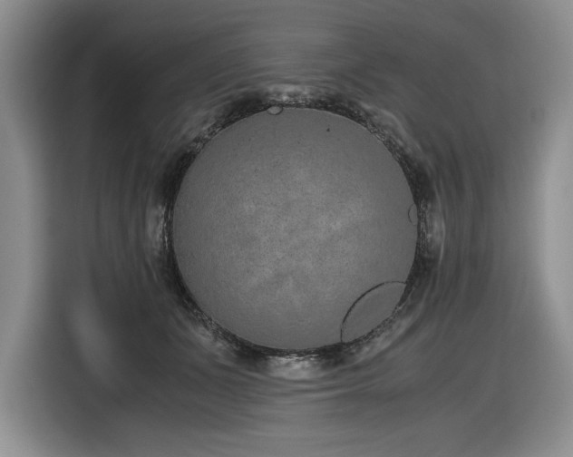 X0000116860511200912221141