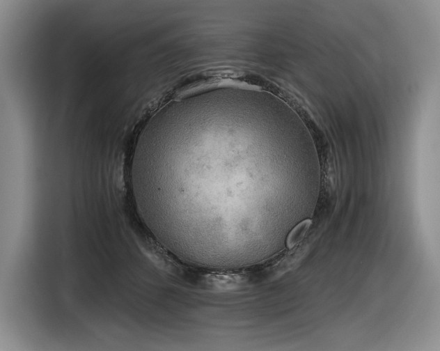 X0000116860512200912221141
