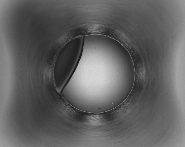 X0000116860513200912221141