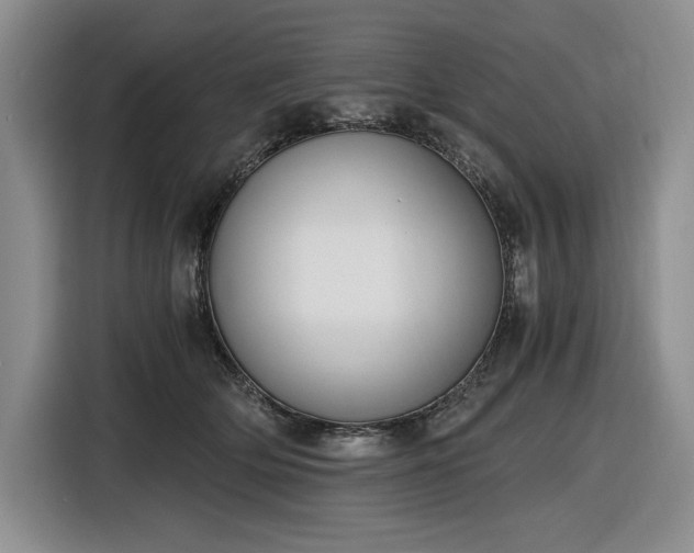 X0000116860514200912221141