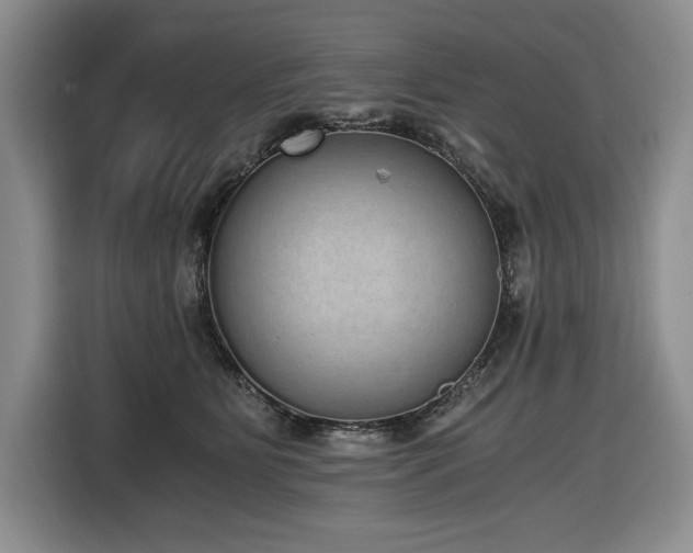 X0000116860515200912221141