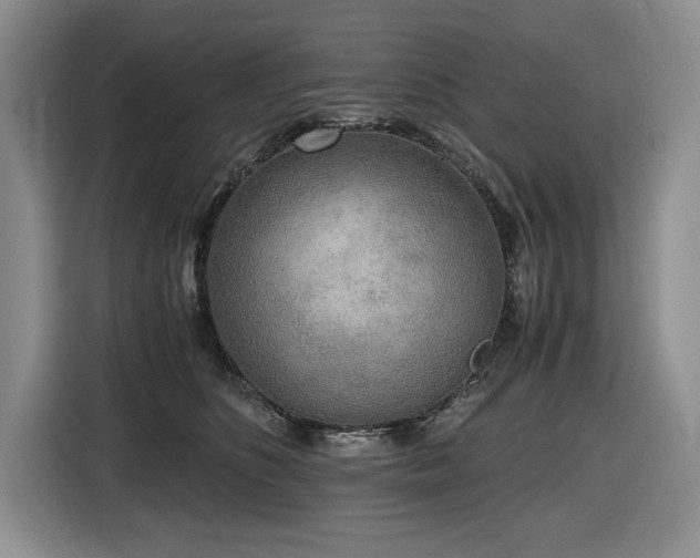 X0000116860516200912221141