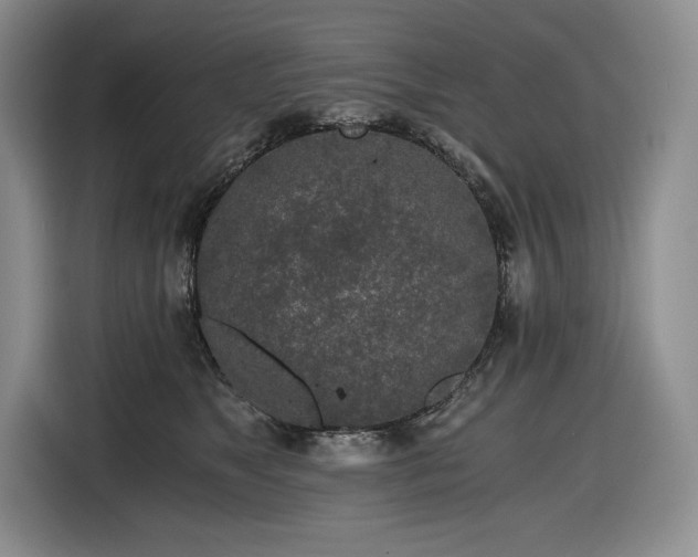 X0000116860517200912221141
