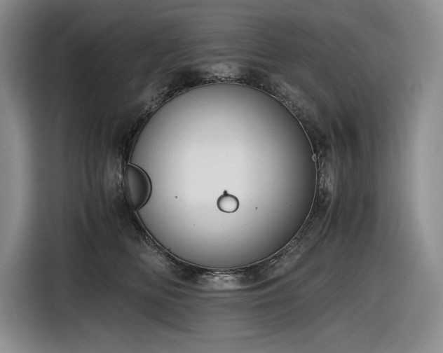 X0000116860518200912221141
