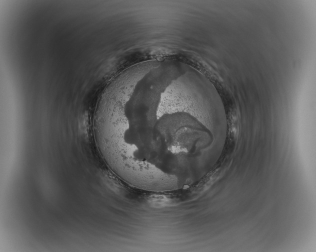 X0000116860519200912221141