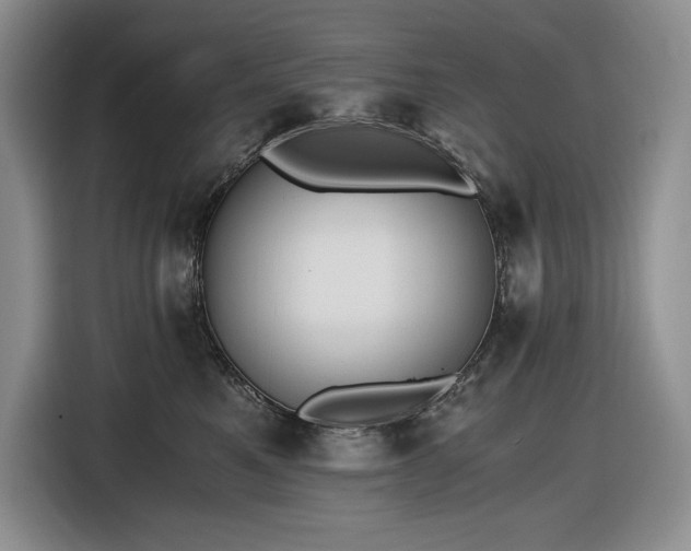 X0000116860521200912221141