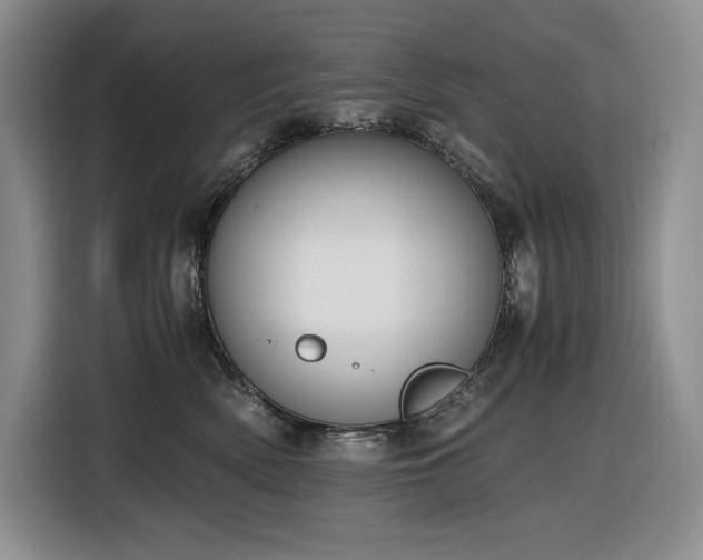 X0000116860522200912221141