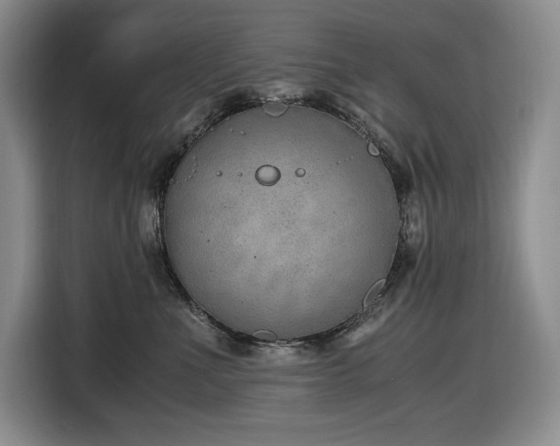 X0000116860523200912221141