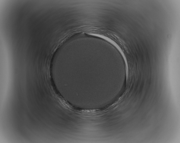 X0000116860524200912221141