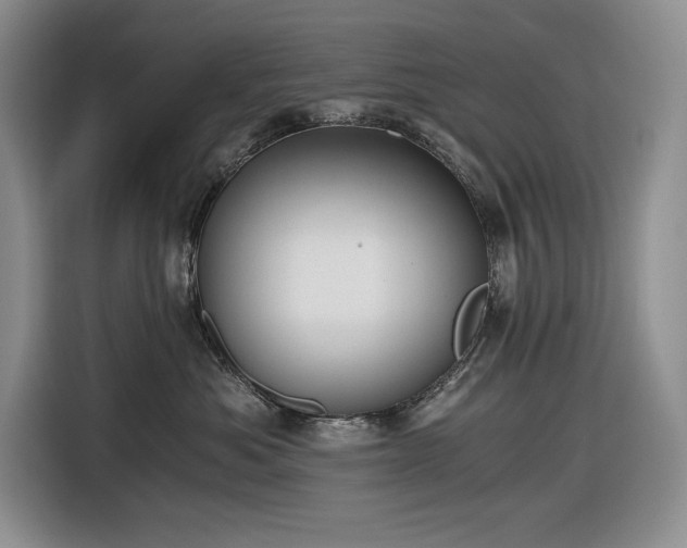 X0000116860525200912221141