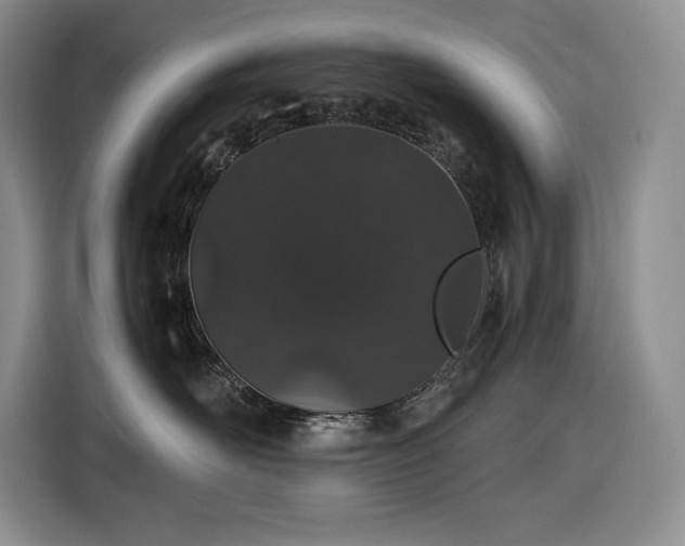 X0000116860526200912221141