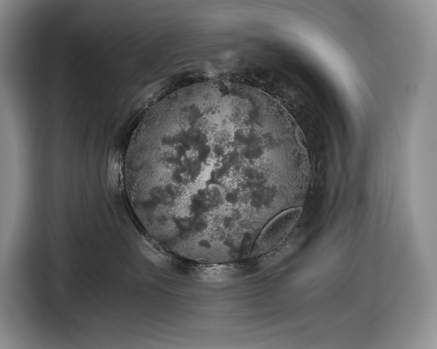 X0000116860527200912221141
