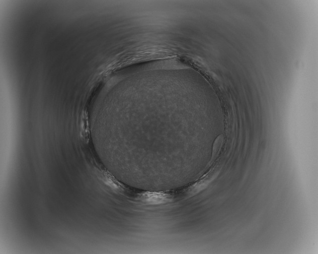 X0000116860528200912221141