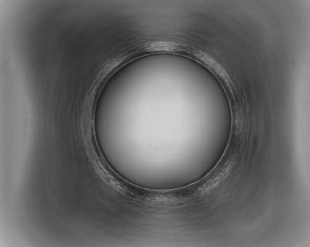 X0000116860529200912221140