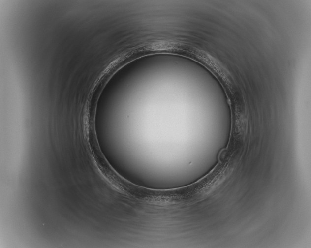 X0000116860530200912221140